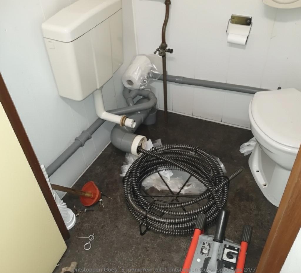 5 manieren toilet ontstoppen Goes: spoedtips 24/7