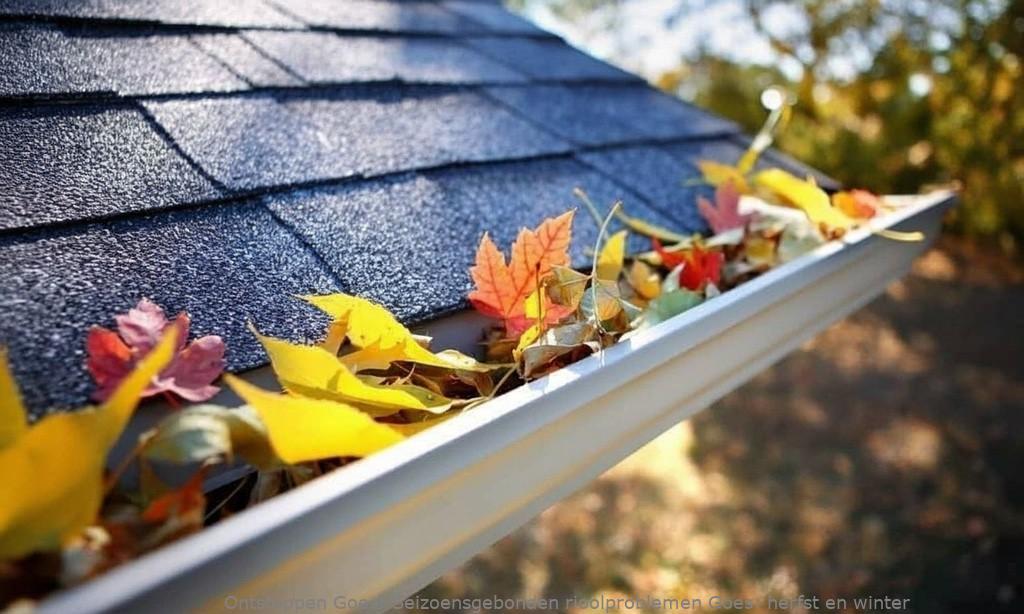 Seizoensgebonden rioolproblemen Goes: herfst en winter
