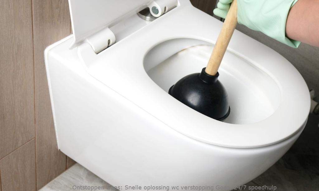 Snelle oplossing wc verstopping Goes, 24/7 spoedhulp